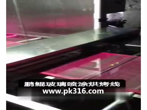 自動(dòng)噴烤生產(chǎn)線